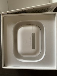 IMG_1109.jpeg