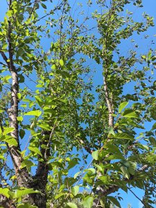 20230716_170300.jpg