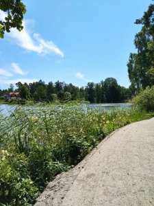 DSC_1609.JPG