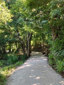 DSC_1620.JPG