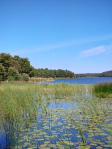 DSC_1625.JPG