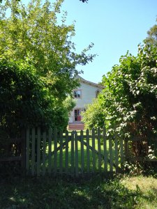 DSC_1627.JPG