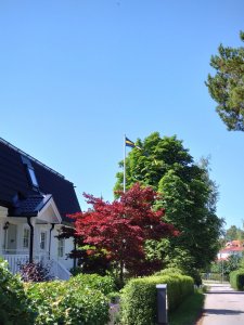 DSC_1639.JPG