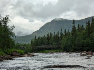 PXL_20230722_073041946.jpg