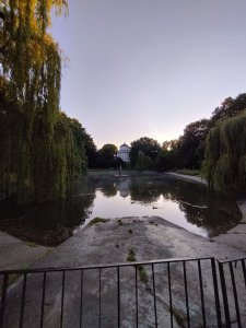 DSC_1742.JPG
