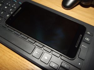 DSCF9274.JPG