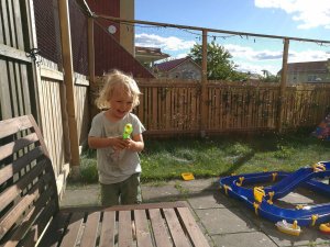 IMG_20160707_175303.jpg