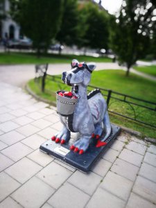 IMG_20160716_112315.jpg