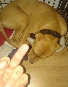 DSC_0096.JPG