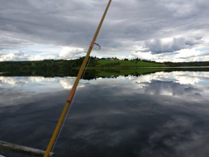 IMG_20160729_170023.jpg
