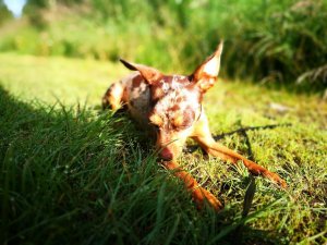 IMG_20160728_074924.jpg