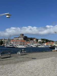 IMG_3164.jpeg