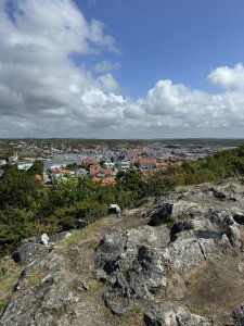 IMG_3222.jpeg