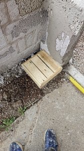 IMG-20230730-WA0002.jpeg