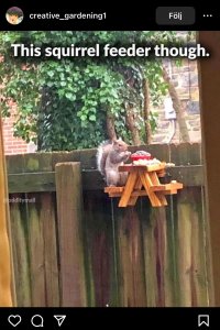 IMG_6901.jpeg