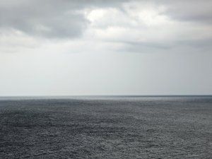 PXL_20230803_105136502.jpg