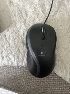 IMG_0622.jpeg