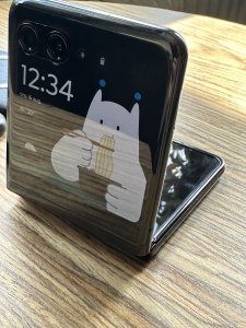 IMG_0141.jpeg