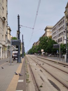 DSC_2107.JPG