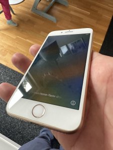 IMG_7827.jpeg