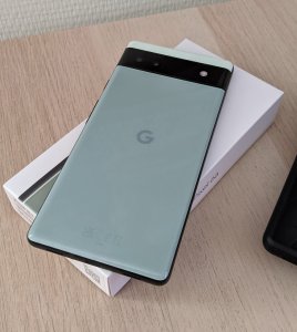 p6a.jpg