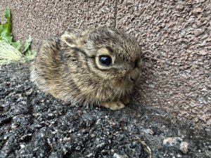 IMG_0028.jpeg
