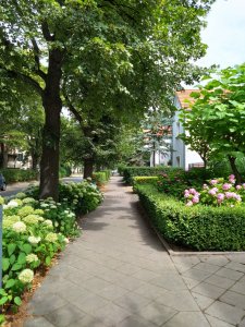 DSC_2282.JPG