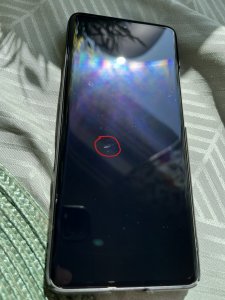 xiaomi12.jpeg