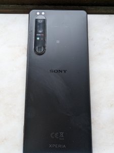 PXL_20230821_071853589.jpg