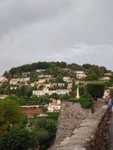 DSC_2600.JPG