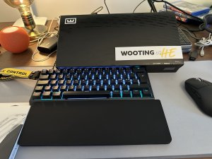 IMG_1929.jpeg