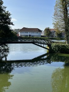 IMG_3450.jpeg