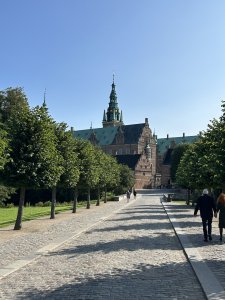 IMG_3447.jpeg