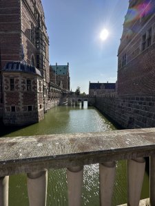 IMG_3456.jpeg