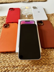 IMG_2768.jpeg