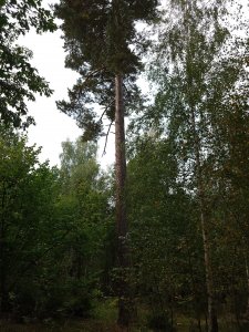 20230922_120633.JPG