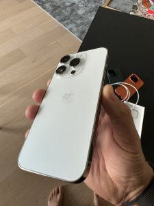 IMG_7952.jpeg