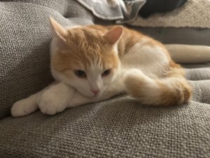 IMG_5926.jpeg