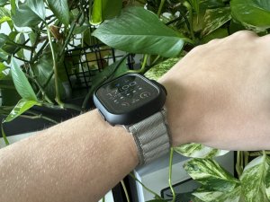 IMG_0055.jpeg
