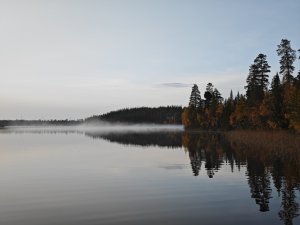 IMG_20230930_074301.jpg