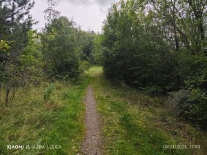IMG_20231001_114322.jpg