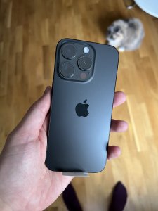 IMG_7001.jpeg