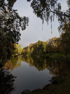 PXL_20231005_065539883.jpg