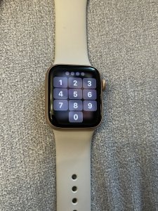 IMG_0254.jpeg
