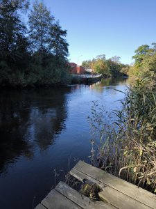 IMG_20231008_105927.jpg