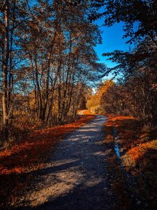 AGC_20231008_111458254_polarr.jpg