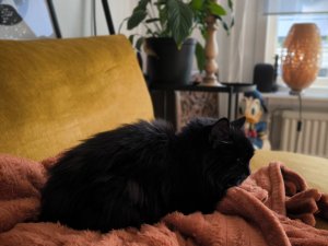 IMG_20231008_144632.jpg