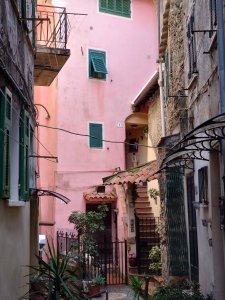 DSC_2910.JPG