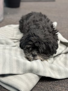 IMG_1647.jpeg