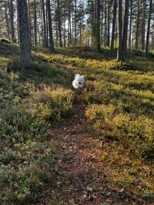IMG_0494.jpeg